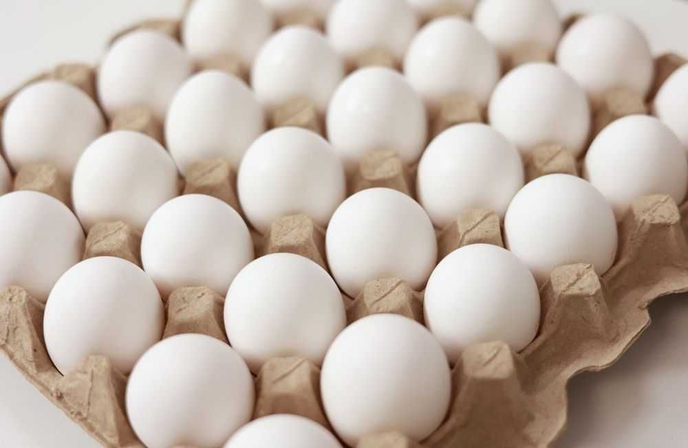 jaja wiejskie hodowla ekstensywna, naturalna