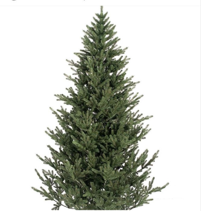 Ялинка лита Віденська ,180 см