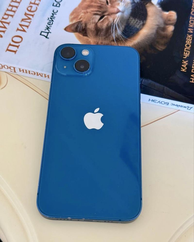 IPhone 13 256 Gb Blue Neverlock
