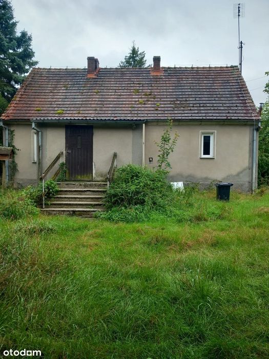 Dom otulony lasem w spokojnej okolicy