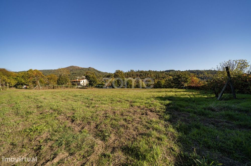 Terreno com 7852 m2 em Torre - Amares