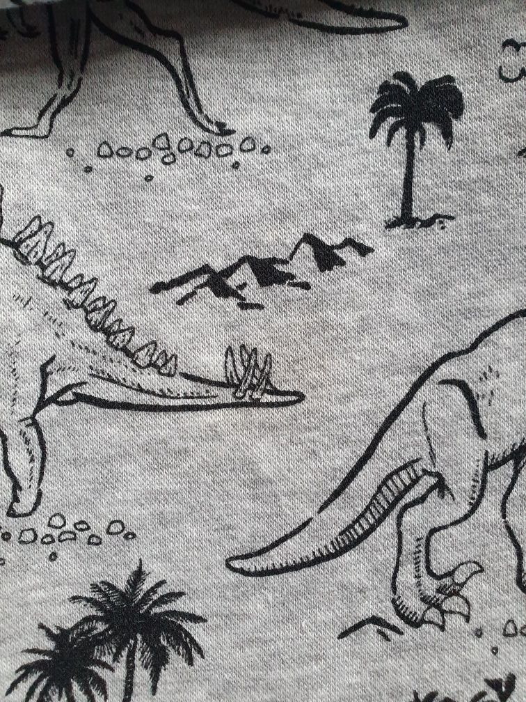 bluza dresowa h&m 122/128 dinozaury na meszku ocieplana bez kaptura