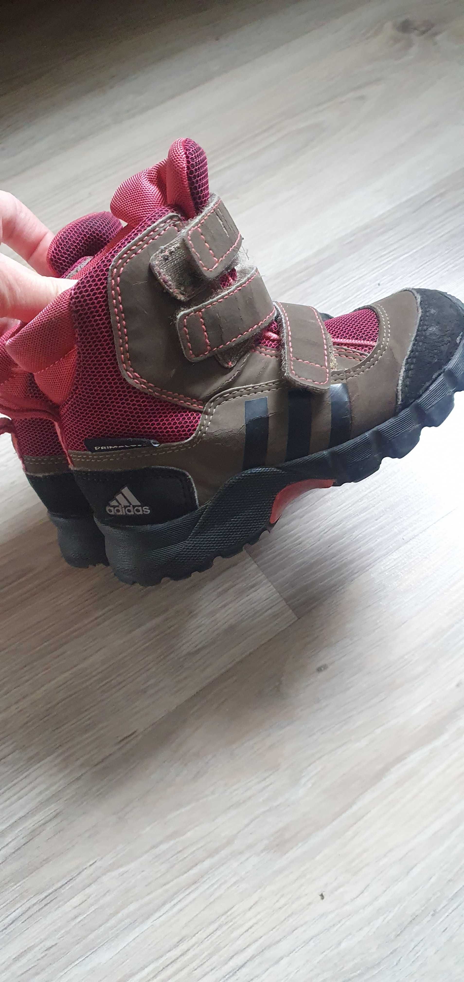 Buty zimowe adidasy r25 na 2 latka dziecięcy