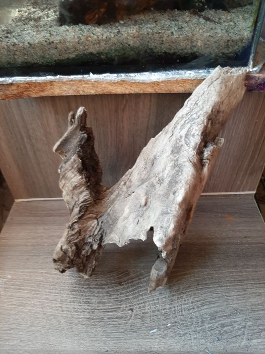 Продам коряжку в аквариум