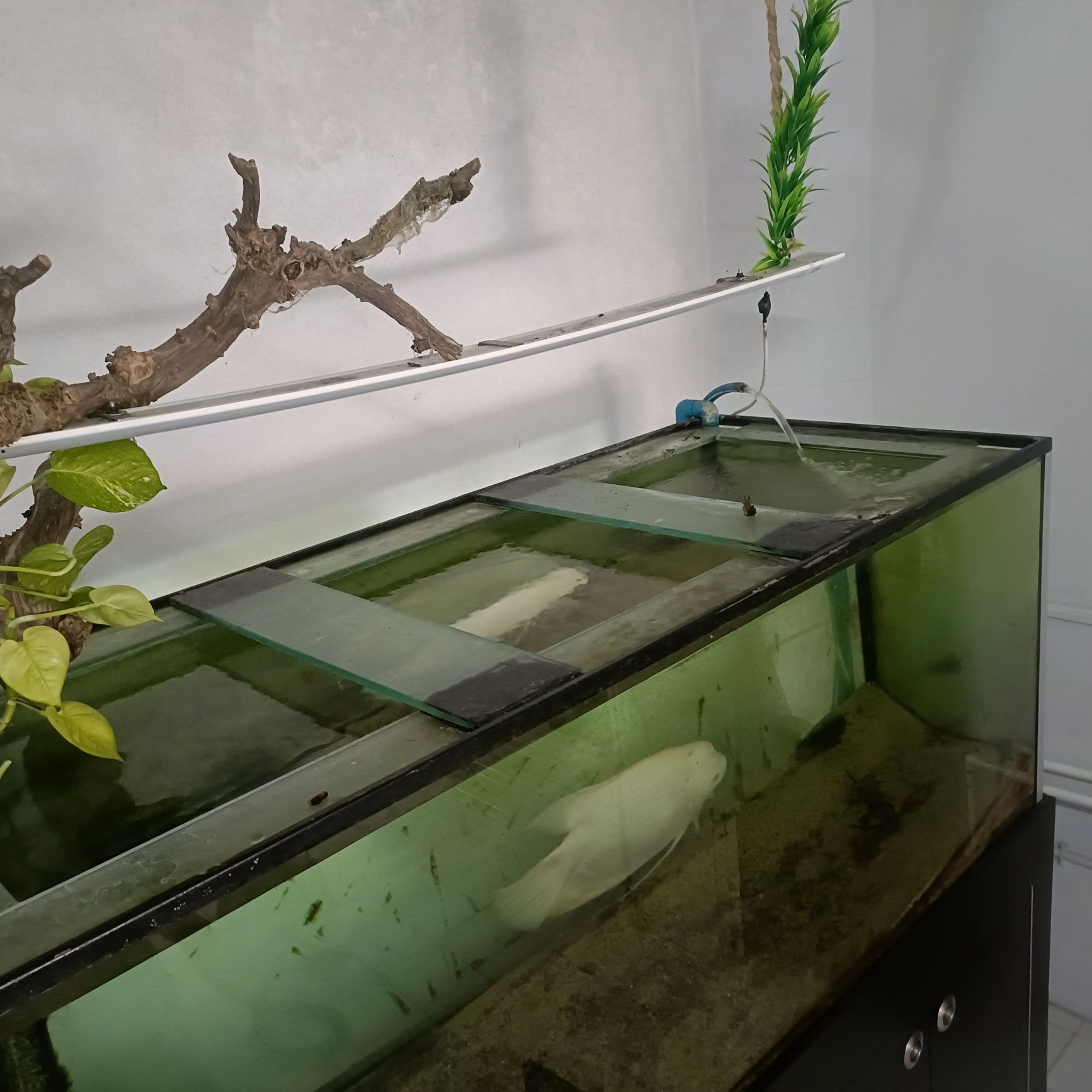 Aquario completo 170x70x70
