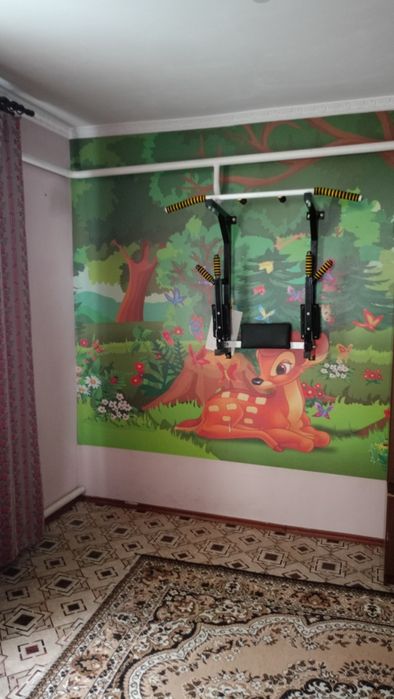 Продається компактний будинок у смт Борова, 40км.від Києва.