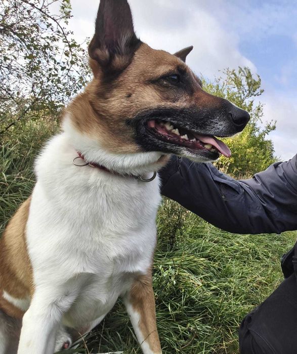 Bari po 2 latach traci DOM