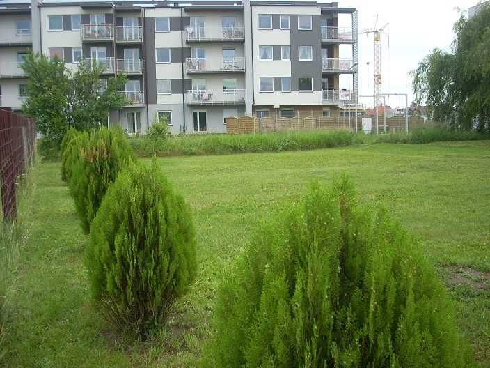 Działka/teren w ścisłym centrum Siechnic.