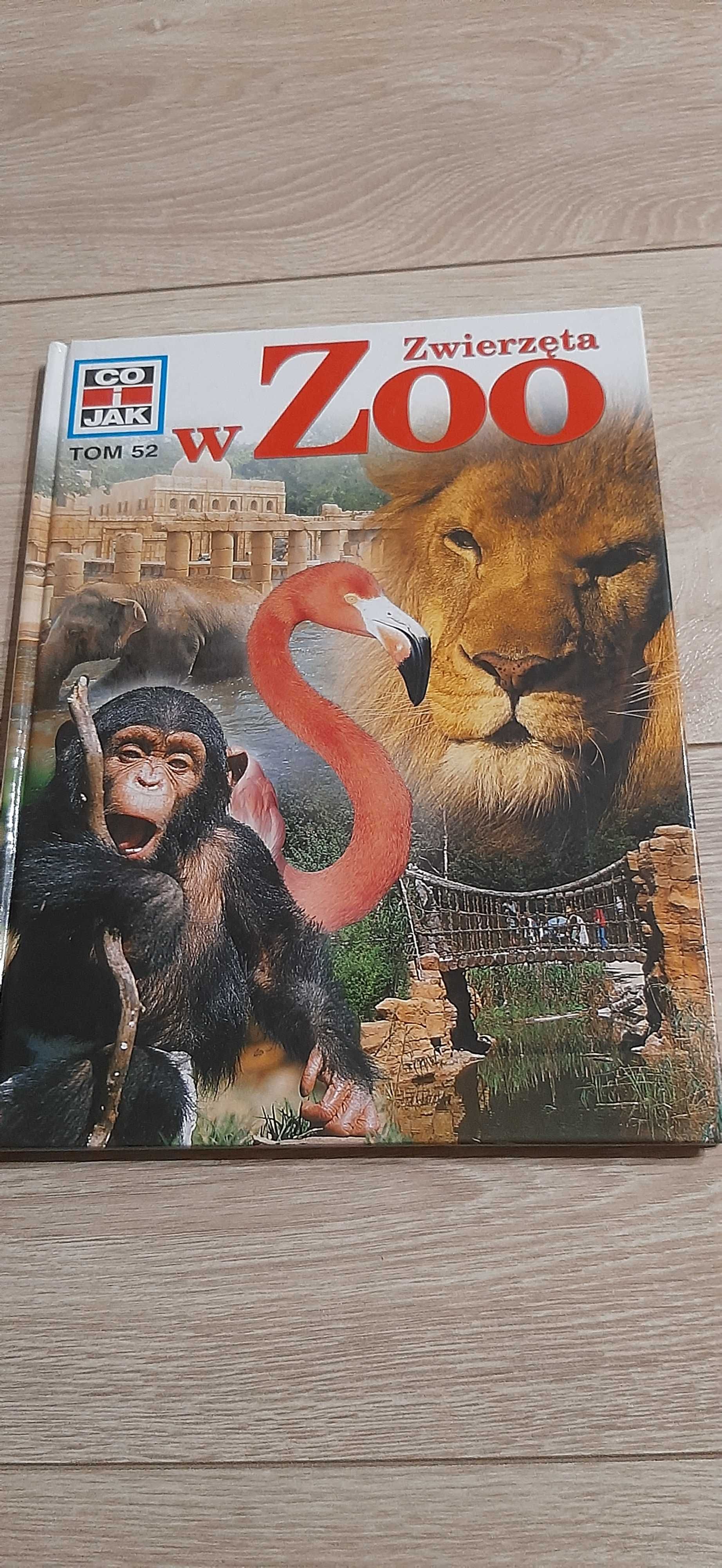 Książka Zwierzeta w ZOO