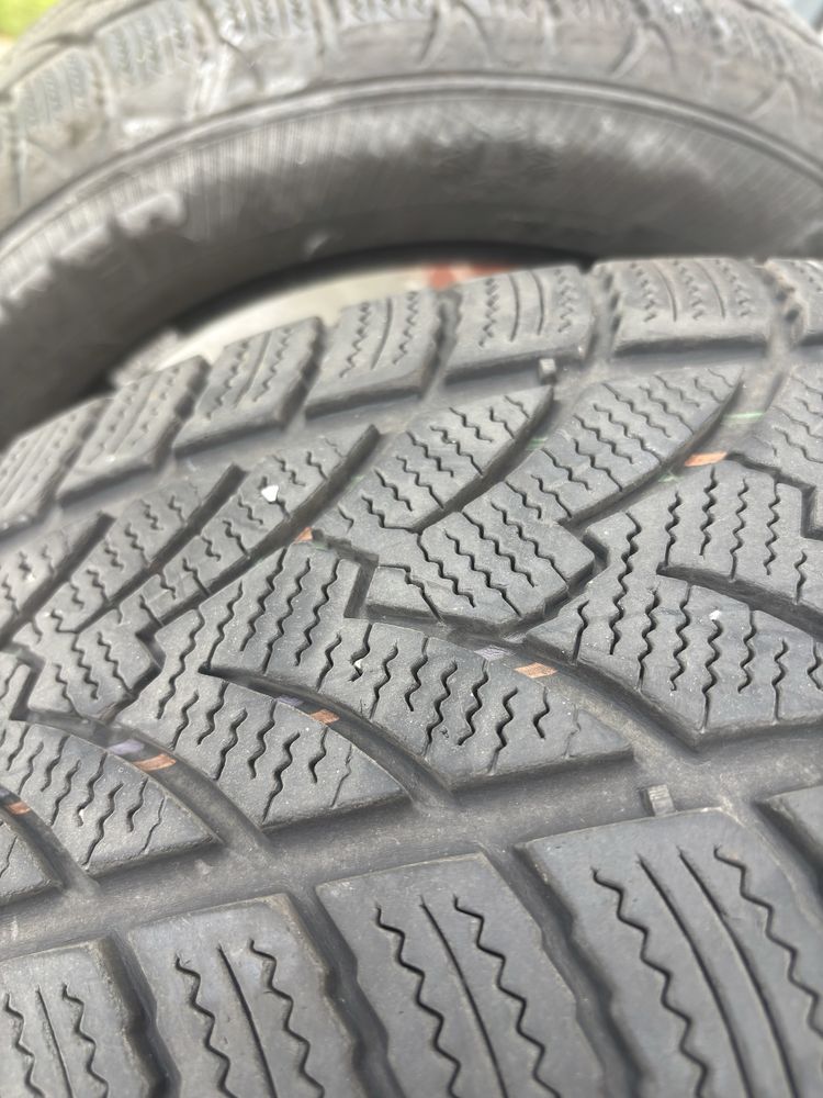 Opony zimowe Platin RP60 Winter 205/55R16 91H