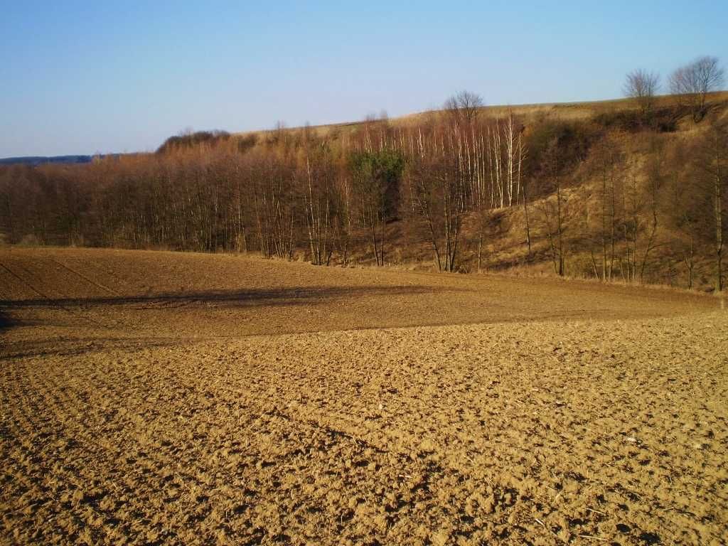 Widok na dwa jeziora. Zadrzewione zbocze góry 40 m od jeziora.