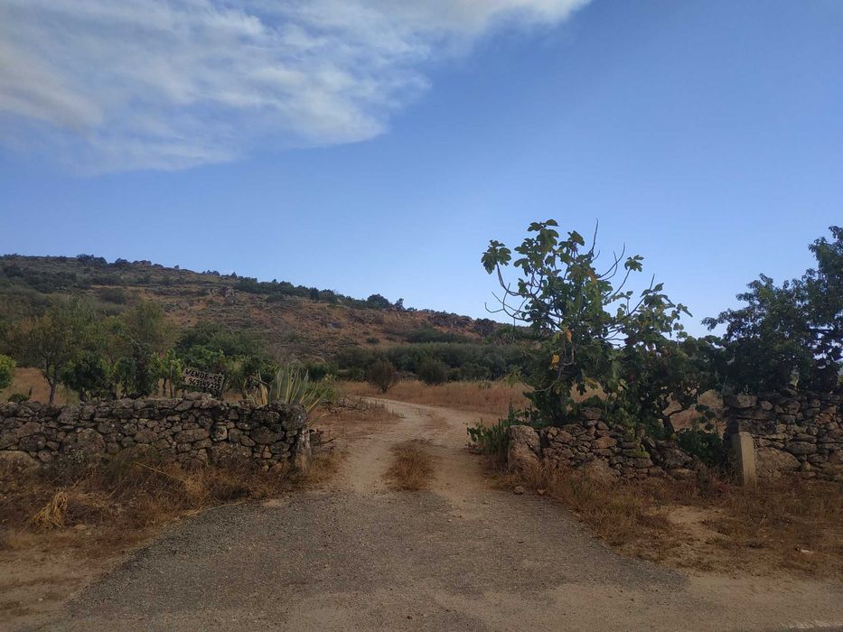 Terreno agrícola em activo.