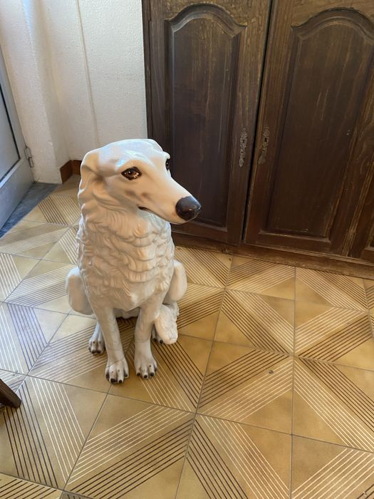 Cão grande em Loiça