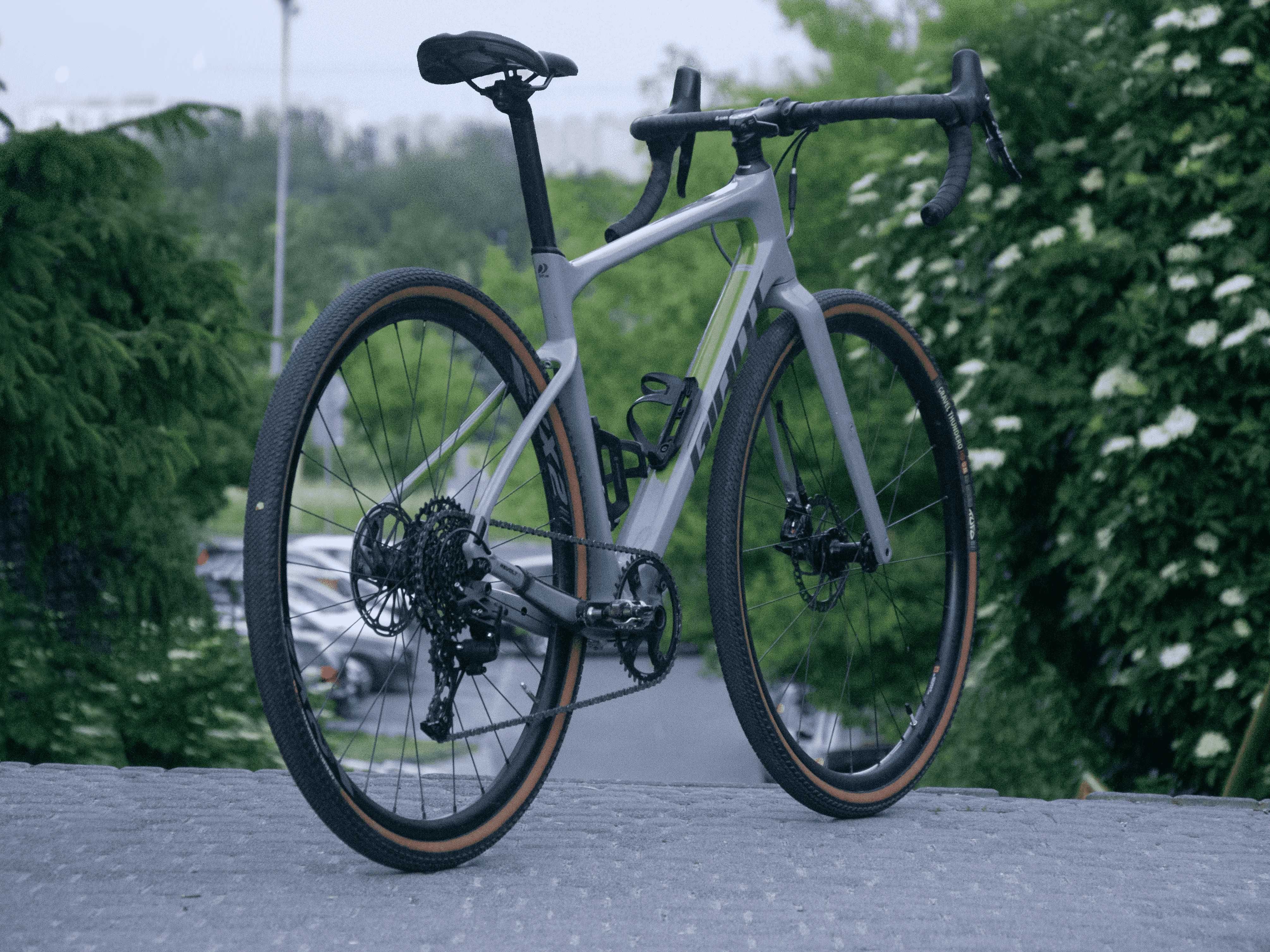 Giant Revolt Advanced 1 | Full Carbon | M 169–181 cm | doinwestowany