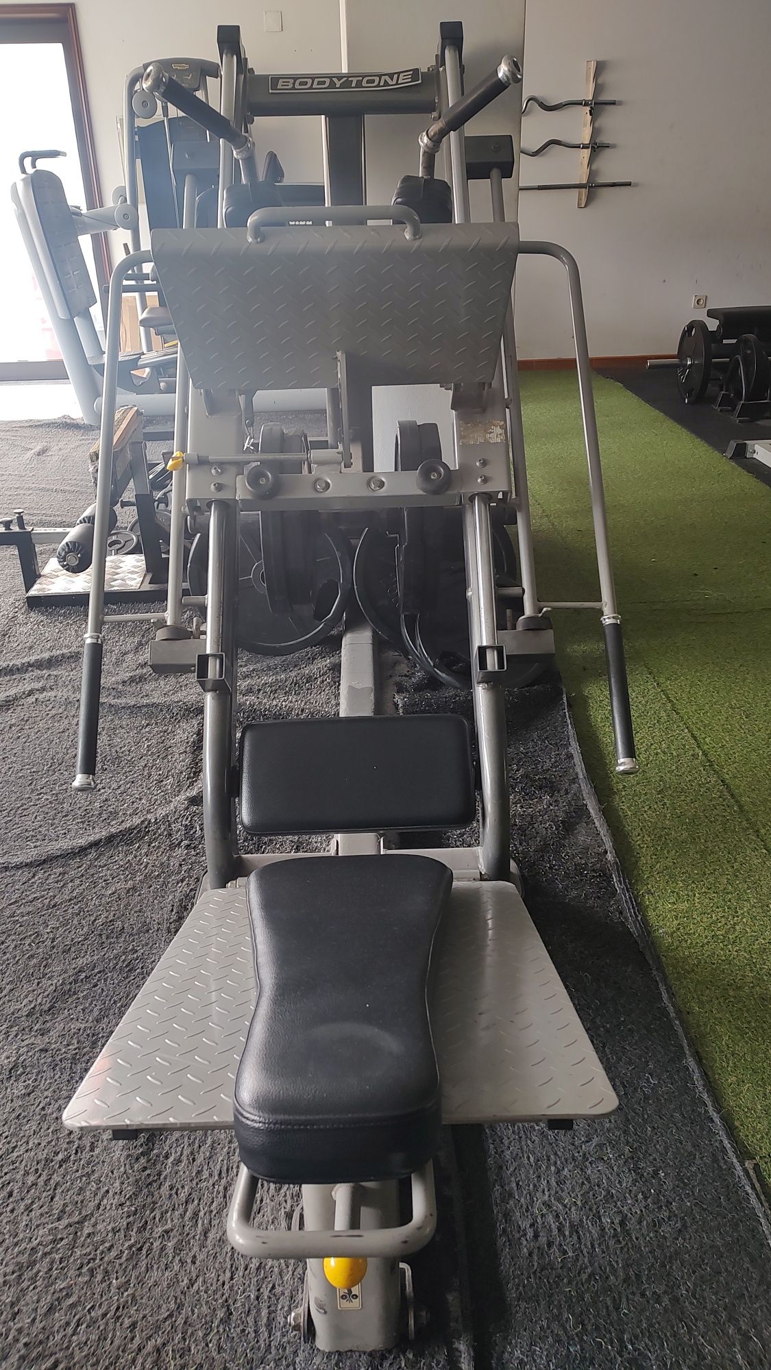 Prensa 45/Hack Squat