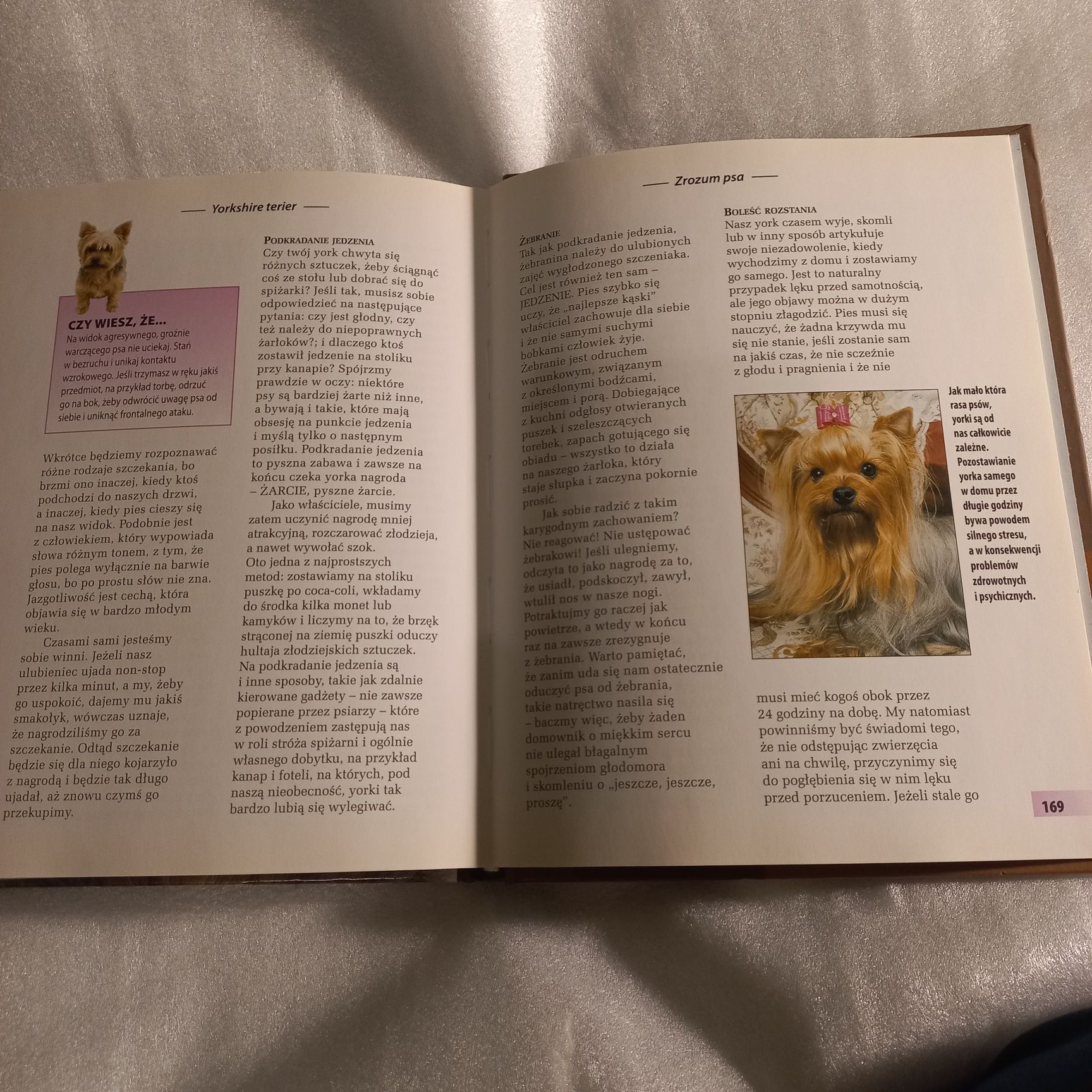 Książka yorkshire terrier