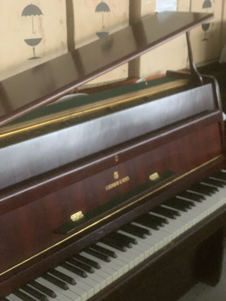 Piano acustico Stainway & Sons F104