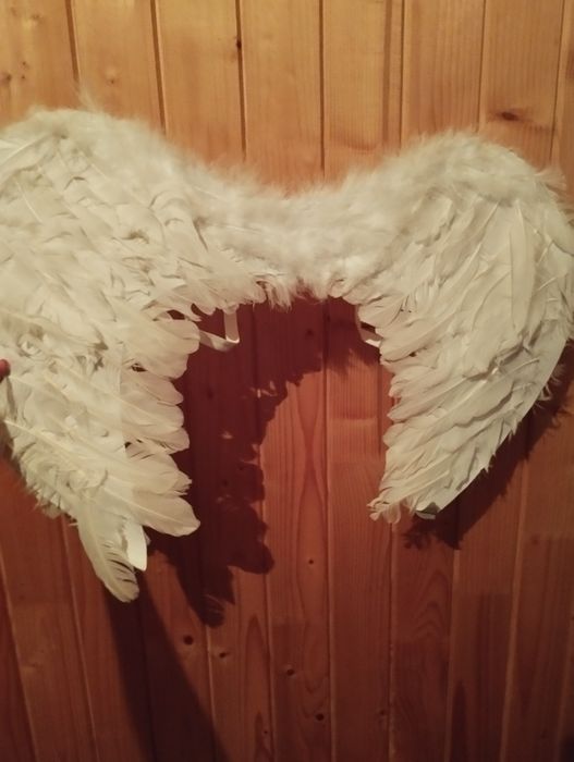 Крила ангела з пір'я