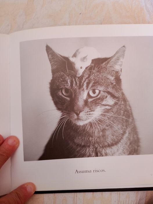 Livro. Ilustrado. Motivacional