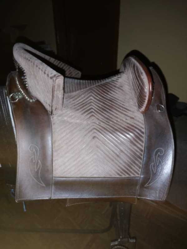 Egua Palomina (7 anos)