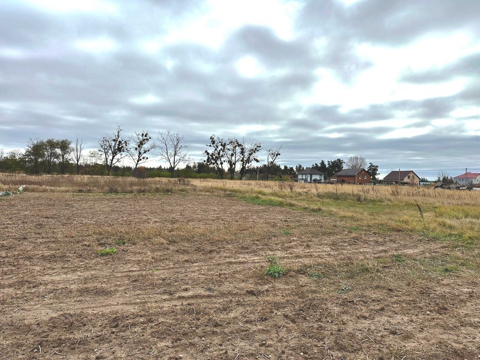 Продаються 4 земельні ділянки поруч — загальна площа 55 соток!