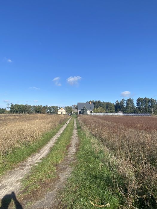 Dom z potencjałem, 197m2, działka 9400m2 +300m2 droga, gabinet, okzaja