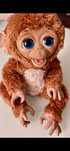 Macaquinha peluche interactiva da FurReal - Hasbro + oferta 1 peluche