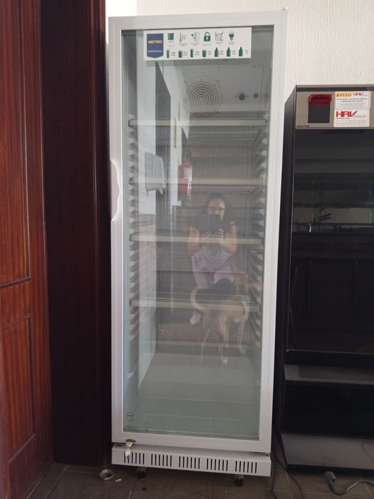 Vendo arca frigorífica vertical (semi-novo)