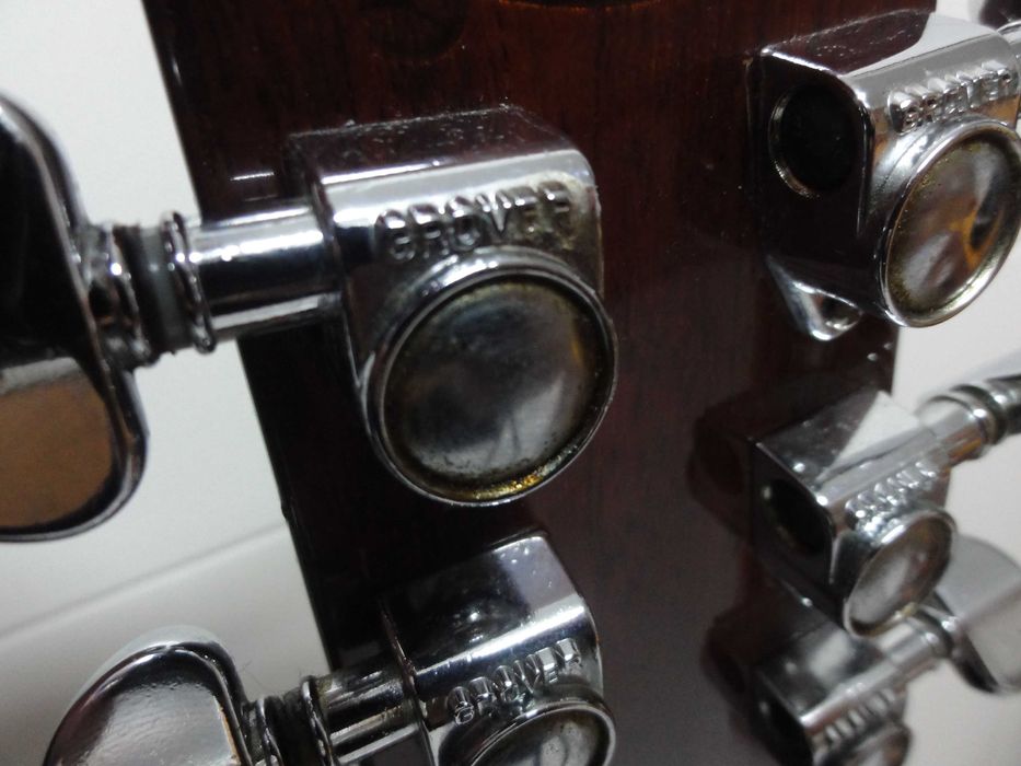 Washburn D95 - Limited Edition