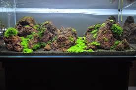 ROTALA Premium Red Lava 2kg (LSRB1) - Lawa czerwona, skała do akwarium