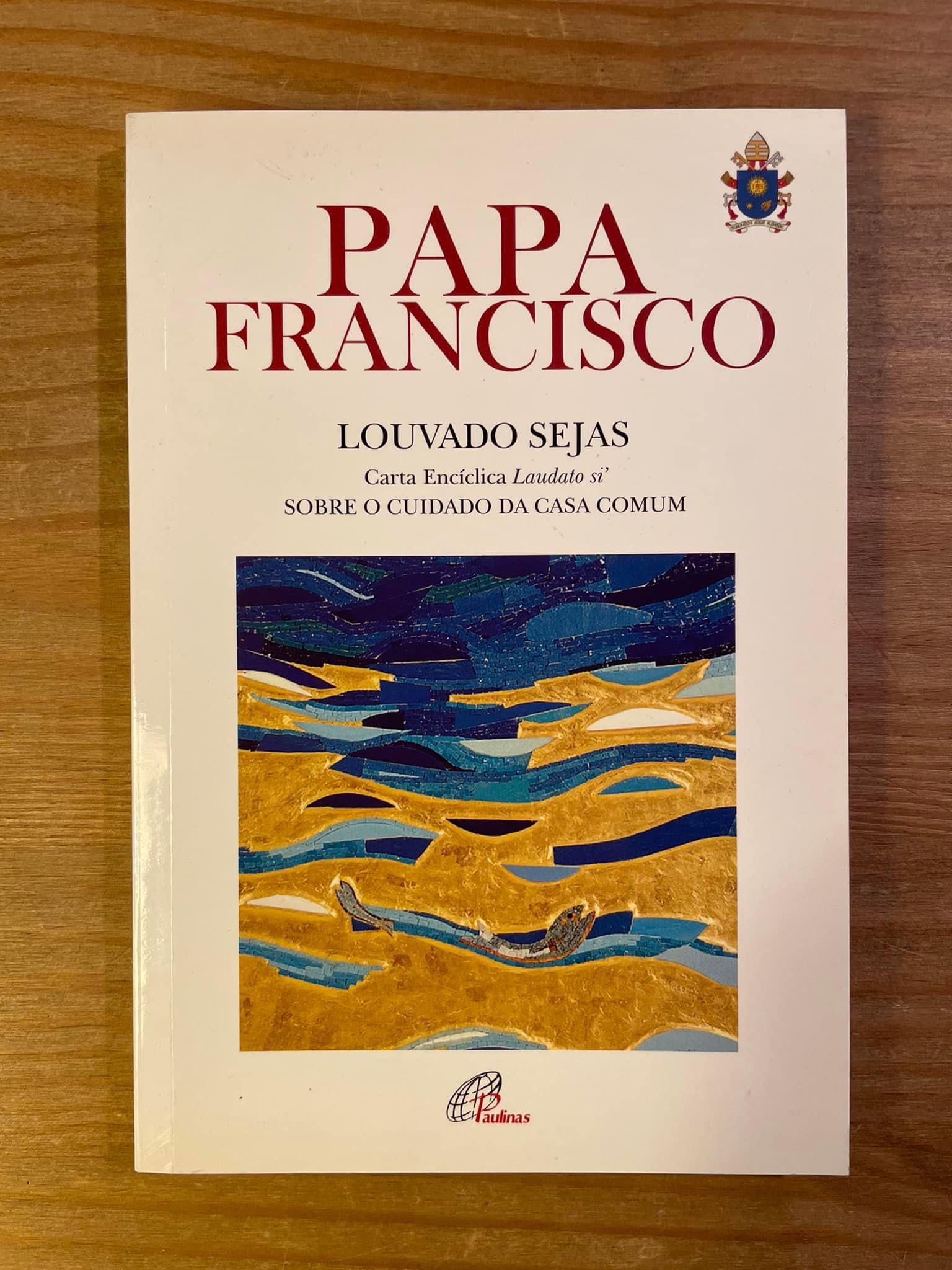 Carta Encíclica - Papa Francisco (portes grátis)