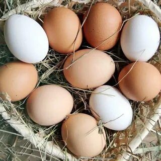 Яйца куриные ( домашние).