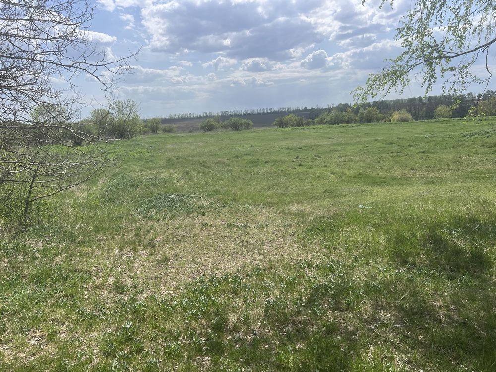 Продаж земельної ділянки для ОСГ