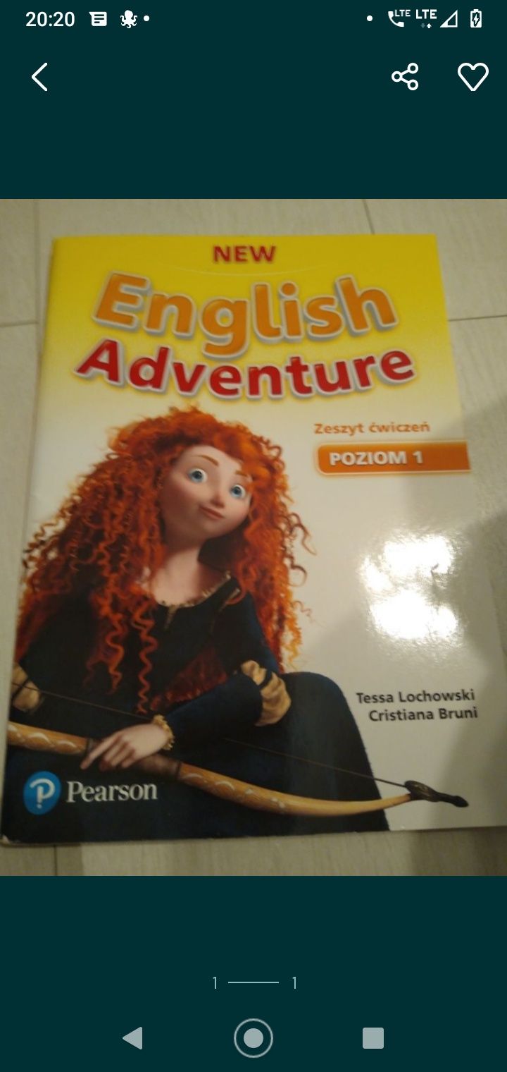 książka dla dzieci english adventure