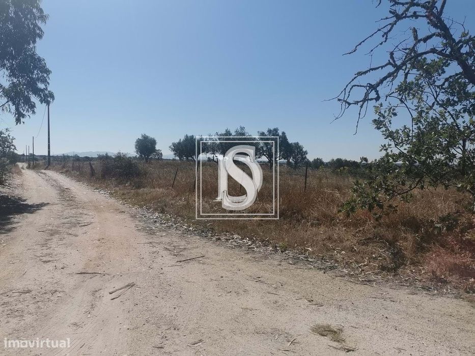 Terreno Não definido em UDF de Arez e Amieira do Tejo