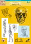 Anatomia dla artystów. Tom 4 Leonardo Compact Series. Koh-I-Noor