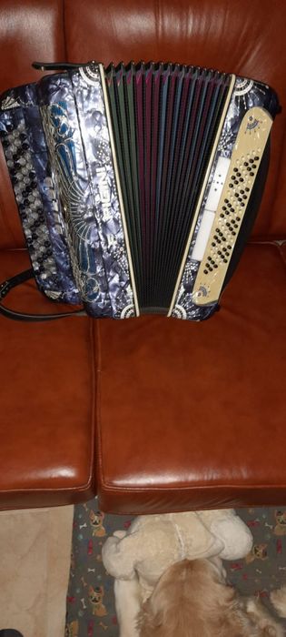 Acordeão italiano pigini