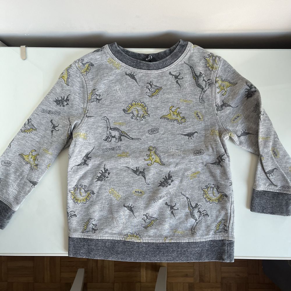 Szara bluza w dinozaury George 98-104