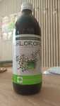 Chlorofil w płynie 500 ml