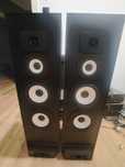 Tonsil jedyne w Polsce soundfinder 250