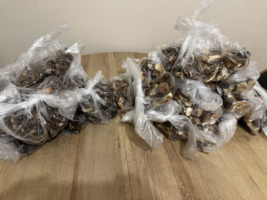 Grzyby suszone prawdziwki