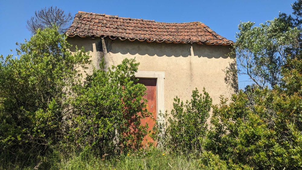 Terreno agrícola em Romeira, Santarém – 2,1 hectares