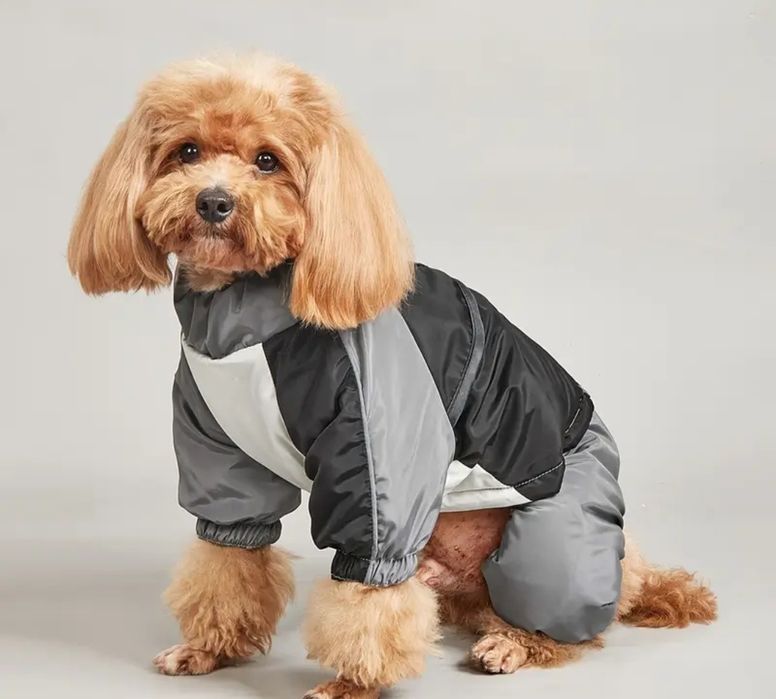 Дощовик для великої собаки