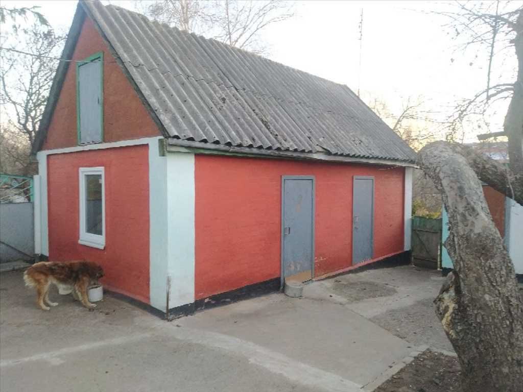 Два будинки по ціні одного в с.Супрунівка