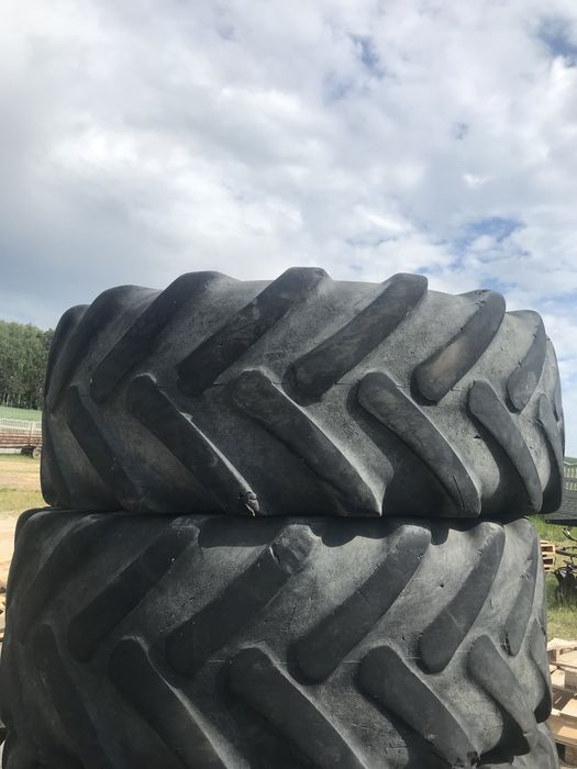 Opony, dwunasto letnie