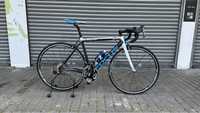 Focus izalco max