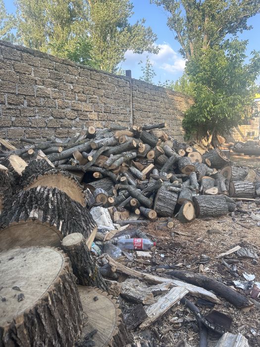 Дрова твердих порід | Метрові або колоті | Акація, берест, клен, ясень