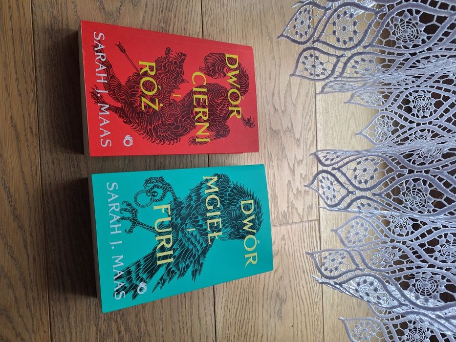 Dwór mgieł I furii, Dwór cierni I róż