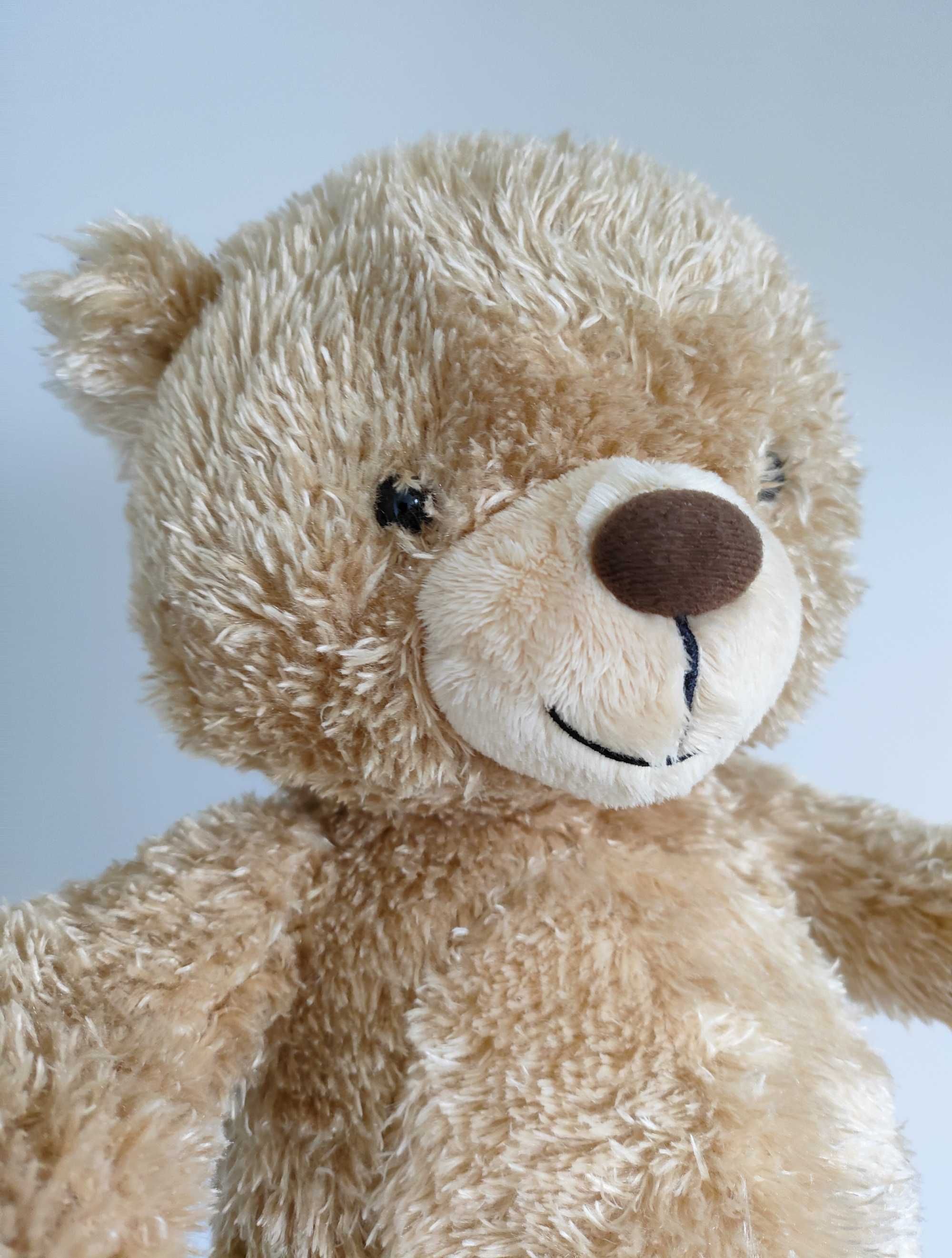 Hallmark Interactive Story Buddy