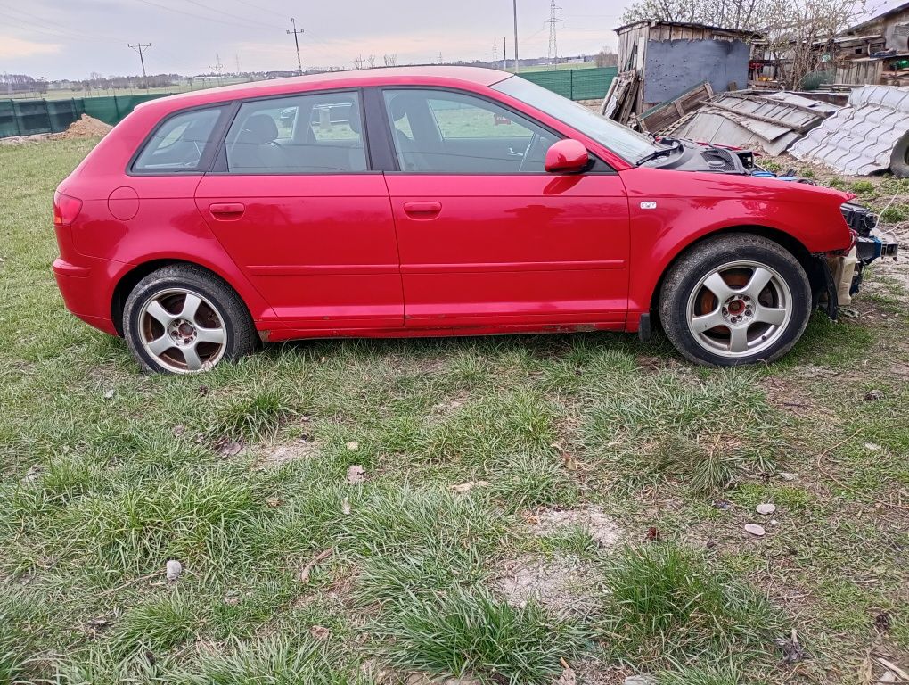Audi A3. 8P   1.9 TDI .